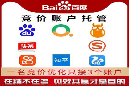 行业趋势下的SEM推广竞价代运营策略
